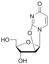 2,2'-Anhydrouridine 